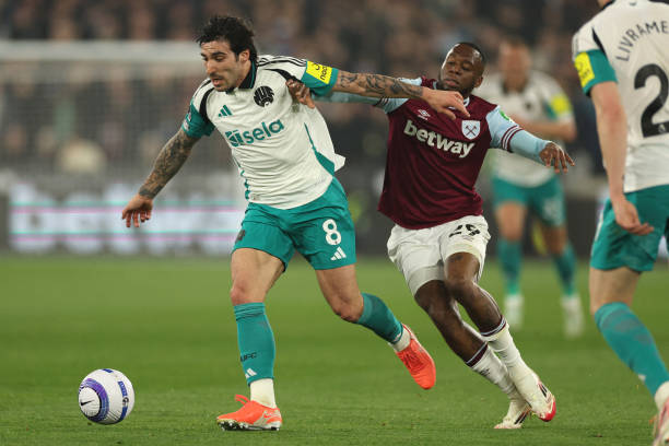 尽管少打一 尽管少打一